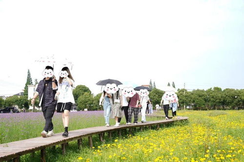 趣也青年 这个周末有点甜——户外烧烤、游戏畅玩与花海打卡的动漫之旅